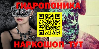 spice Пенза