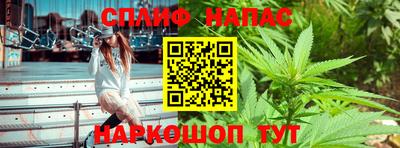 spice Пенза